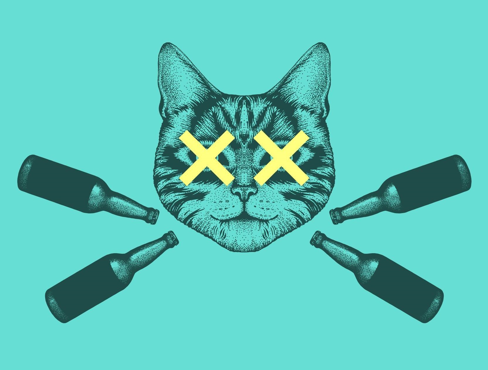 Kill The Cat craft beer
